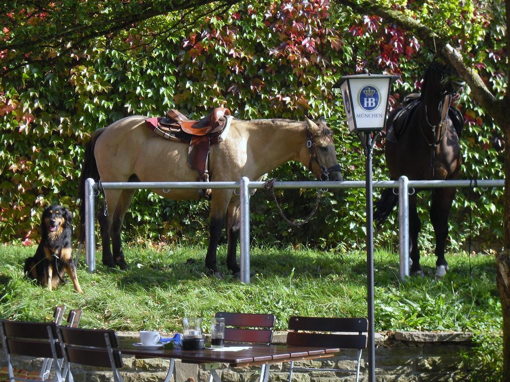 Landgasthof Alter Rommersberg Hotel Engelskirchen Luaran gambar